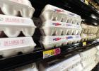 Egg prices plummet
