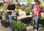 Columbus Garden Club plant sale a grand success