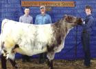 Fayette County Junior Livestock Show