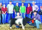Fayette County Junior Livestock Show