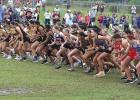 14 tri-county runners qualify for UIL state cross country