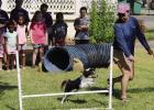 Award-winning dog trainer and agility competitor gives tips